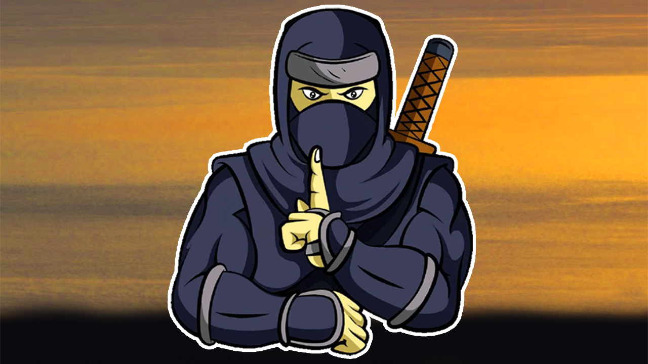 Image Ninja In Cape