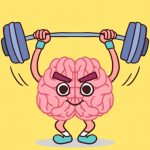 Perfect Brain 3D