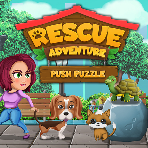 Image Push Puzzle Rescue Adventure